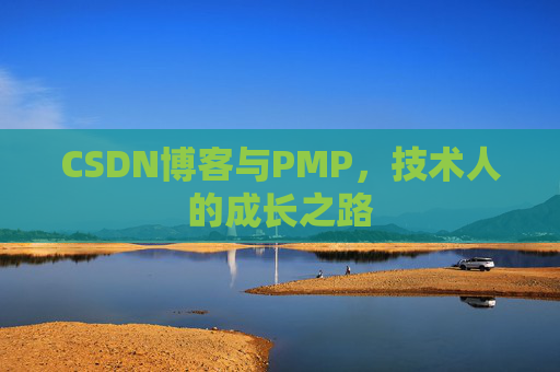 CSDN博客与PMP,技术人的成长之路
